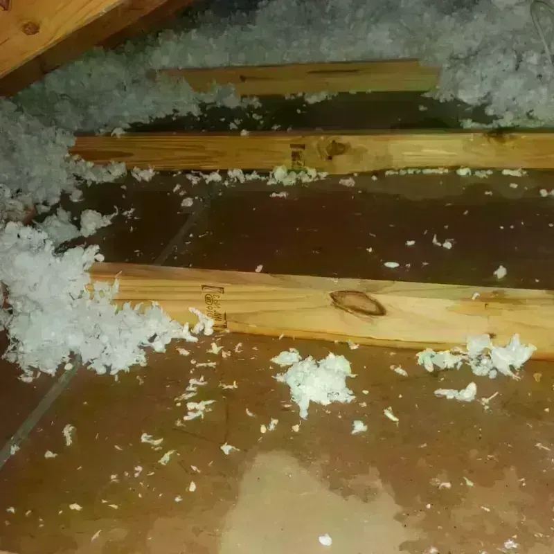 Attic Water Damage in Keene, TX